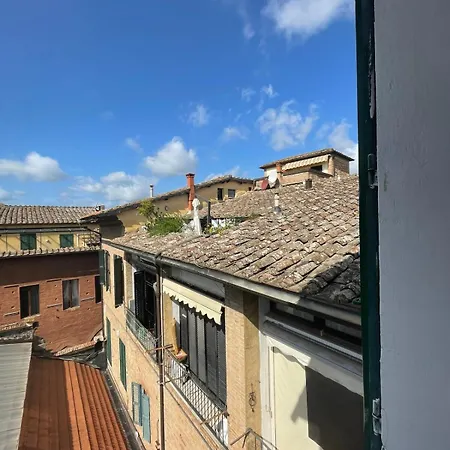 Pignattello Nel Cuore Di